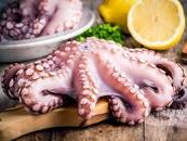 Octopus 6.6lb tray frozen $ 7.56 lb